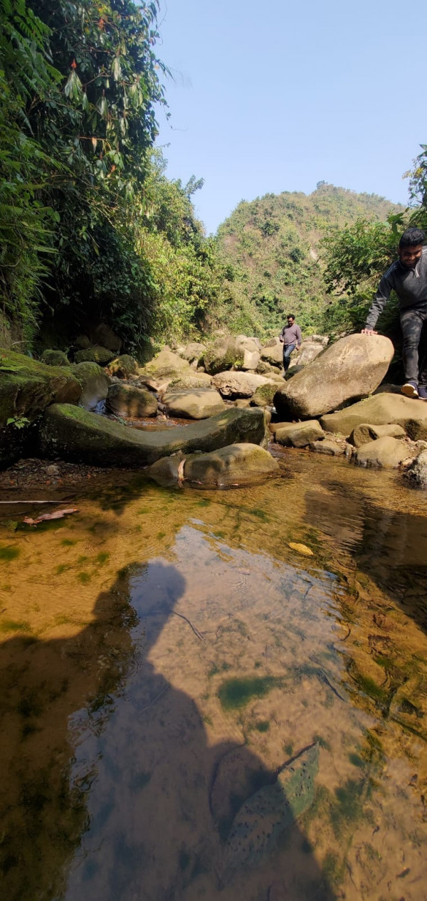 Kalmakanda ,Pachgaown